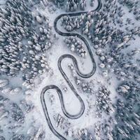 自在圆月KH头像