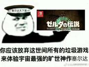 传奇剑士塞尔达的个人资料头像