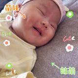迷雾头像