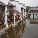 四会黄远新头像