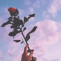 用户3438137700145头像