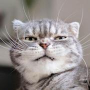 Sunny___990的个人资料头像