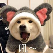荒凉哥的个人资料头像