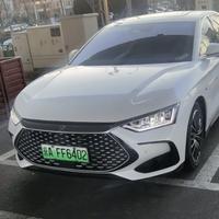 知情达理喜鹊tfx头像