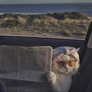 用户3584766165669的个人资料头像