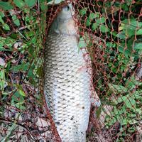 *^爷^*拽的很有风度头像