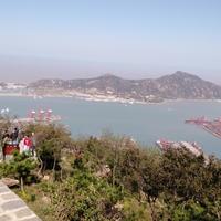 捷运通达马到成功头像