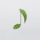 yanxj的个人资料头像