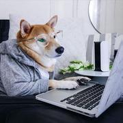 广州赵子龙的个人资料头像