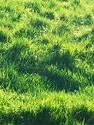 抢我辣条灬还想跑的个人资料头像