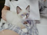 小张z的个人资料头像