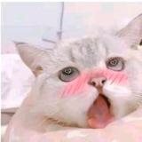 不理YYDS头像
