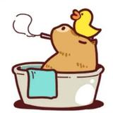 用户2783815418105头像