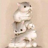 花花是条金毛犬头像