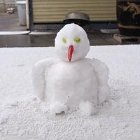 发财灯塔9O头像