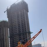 铁水牛2020头像