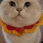 Joanne嗯呢的个人资料头像
