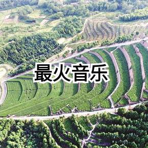 山野的风A头像