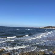 CGOGO的个人资料头像