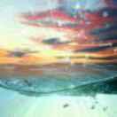 72516的个人资料头像