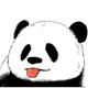 天才小能猫629头像