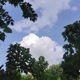 悦仕头像