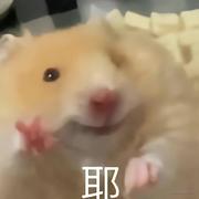 清海z的个人资料头像