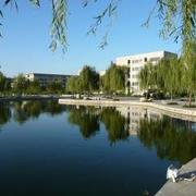 ChdDongyang的个人资料头像