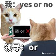 学长代码的个人资料头像