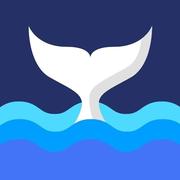 鲸鱼商业论的个人资料头像