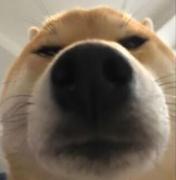 长欢515的个人资料头像