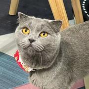 zzzing的个人资料头像