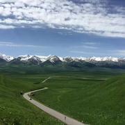 陆永军的个人资料头像