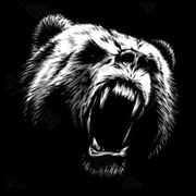 SlimBear的个人资料头像