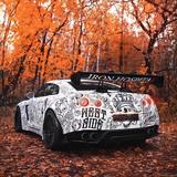 风清扬62532982头像