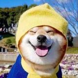 尐丶王头像