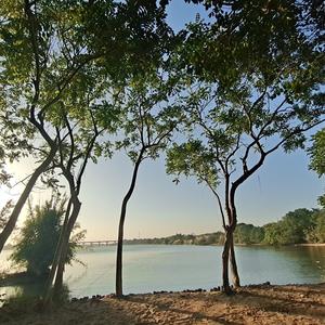 金姐爱分享头像