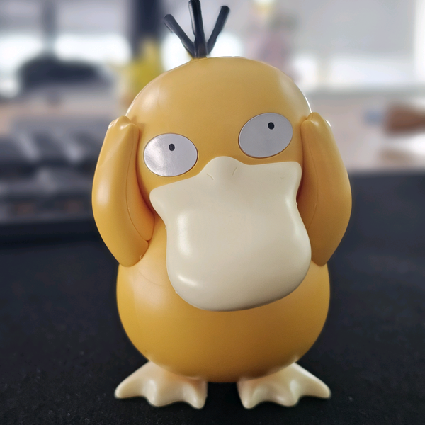 DrC的休闲时光头像