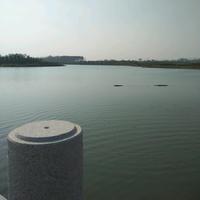 挪威的森林4e9L头像