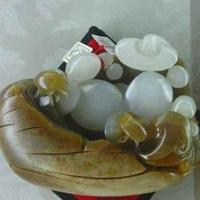 风荷93491126头像