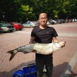 幸福简单头像