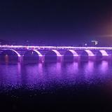 wangchen62头像