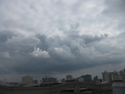 多加辣的个人资料头像