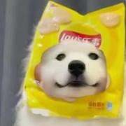 simplelove的个人资料头像