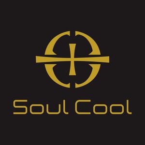 SoulCool数码企业店头像