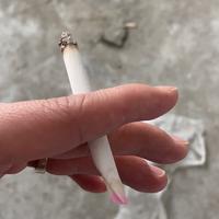两只小山羊羊头像