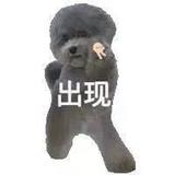 purifffy头像