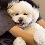 纳诺哈头像