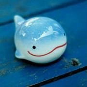 海贝壳的个人资料头像