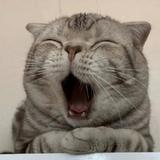 用户4767394932935头像